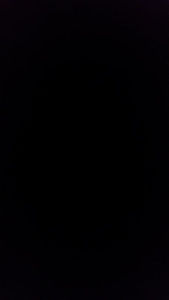 Meet your Posher, Bobby